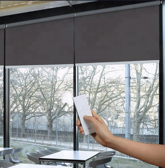 Motorized Blackout Blinds